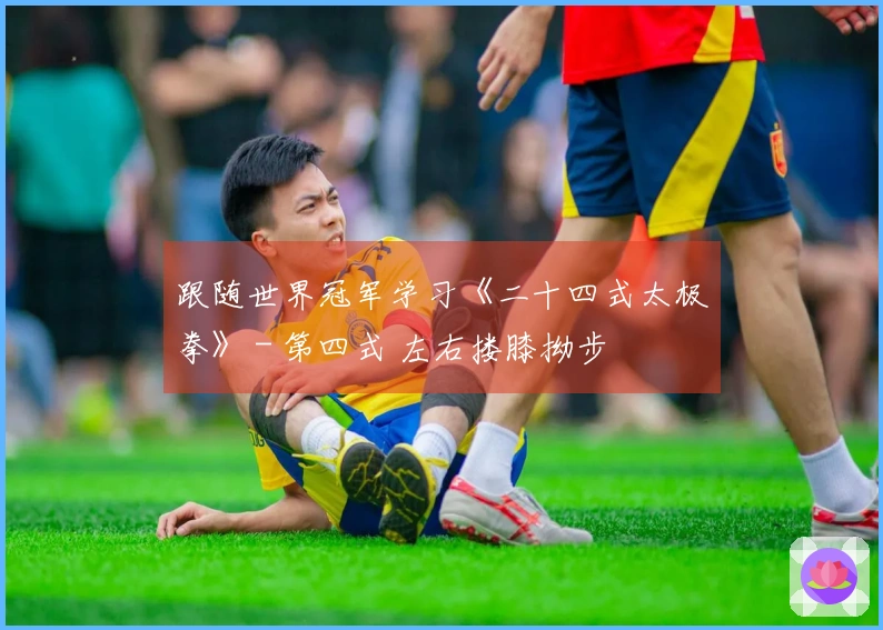 跟随世界冠军学习《二十四式太极拳》 - 第四式 左右搂膝拗步