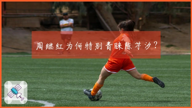 周继红为何特别青睐陈芋汐？