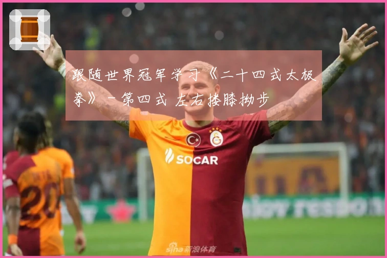 跟随世界冠军学习《二十四式太极拳》 - 第四式 左右搂膝拗步